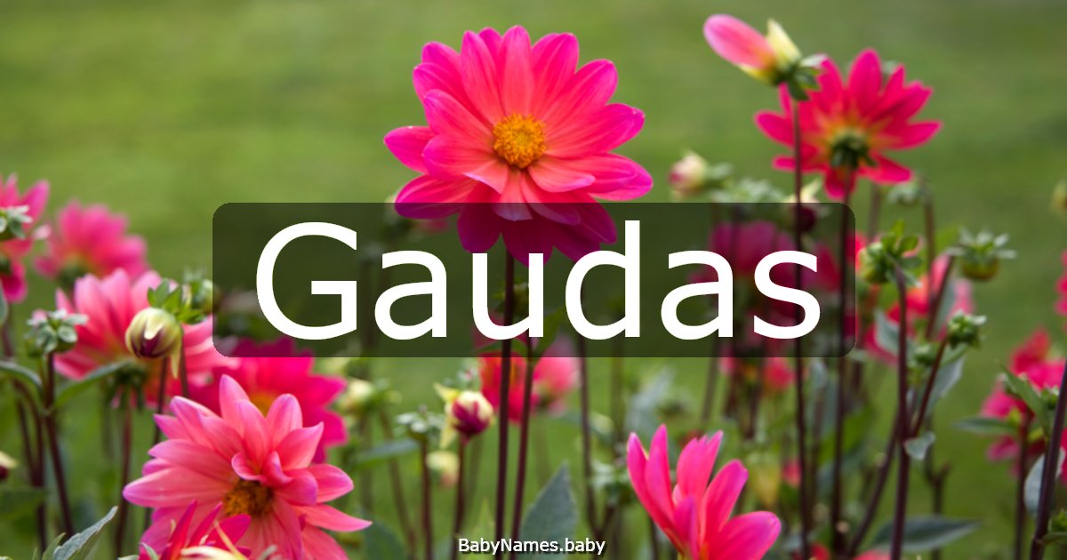 Gaudas