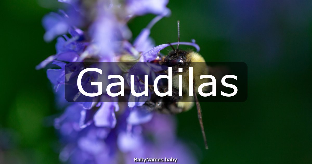 Gaudilas