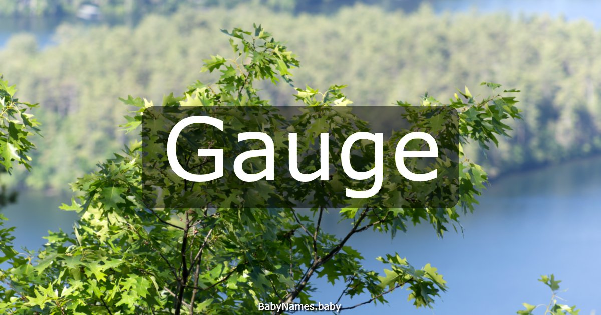 Gauge