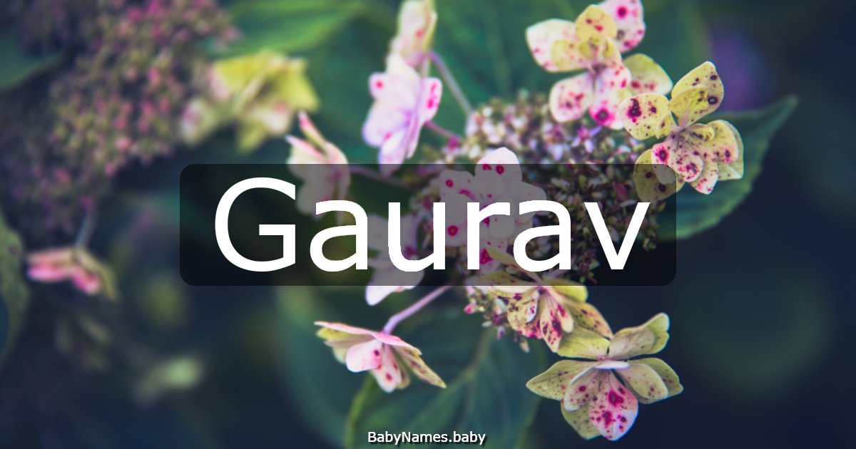 Gaurav