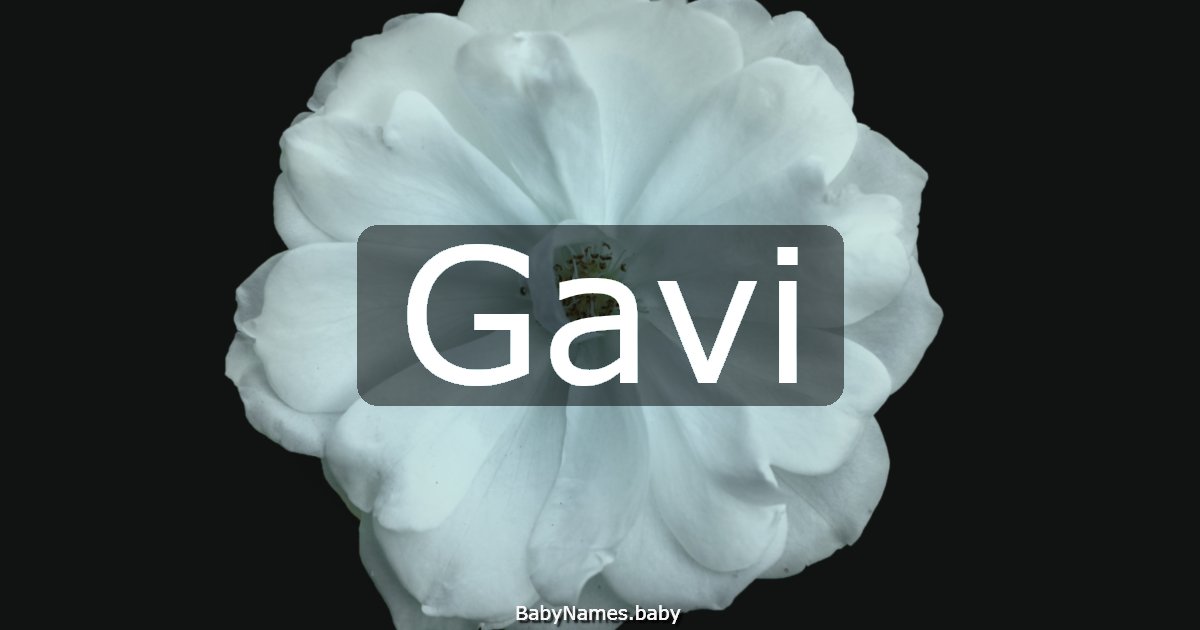 Gavi