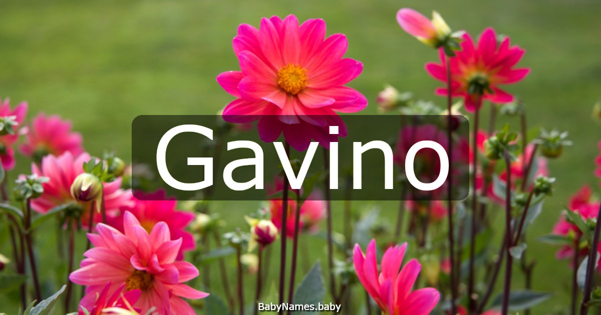 Gavino