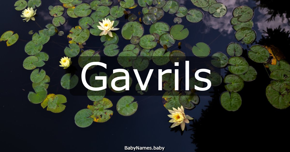 Gavrils