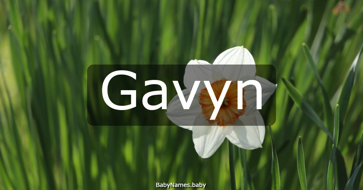 Gavyn