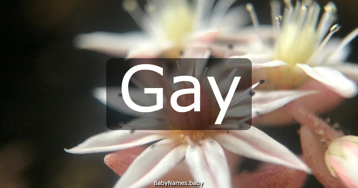 Gay