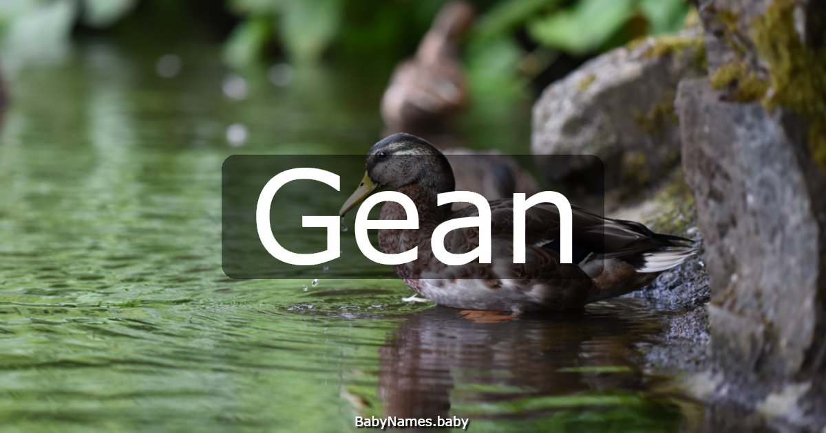 Gean