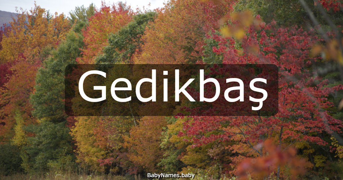 Gedikbaş