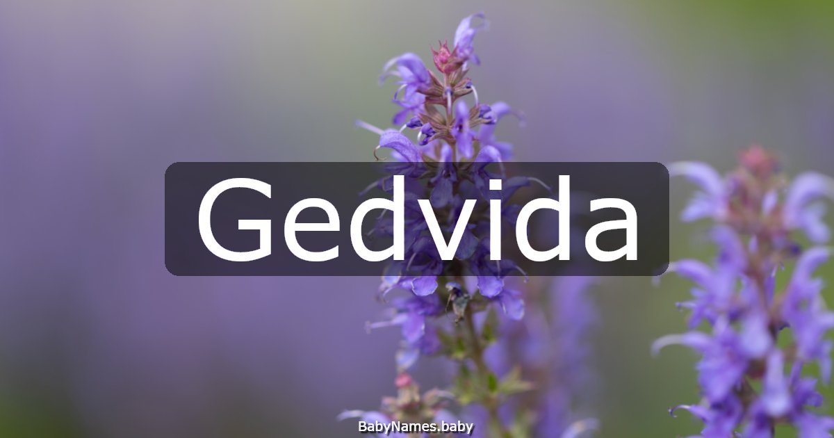 Gedvida