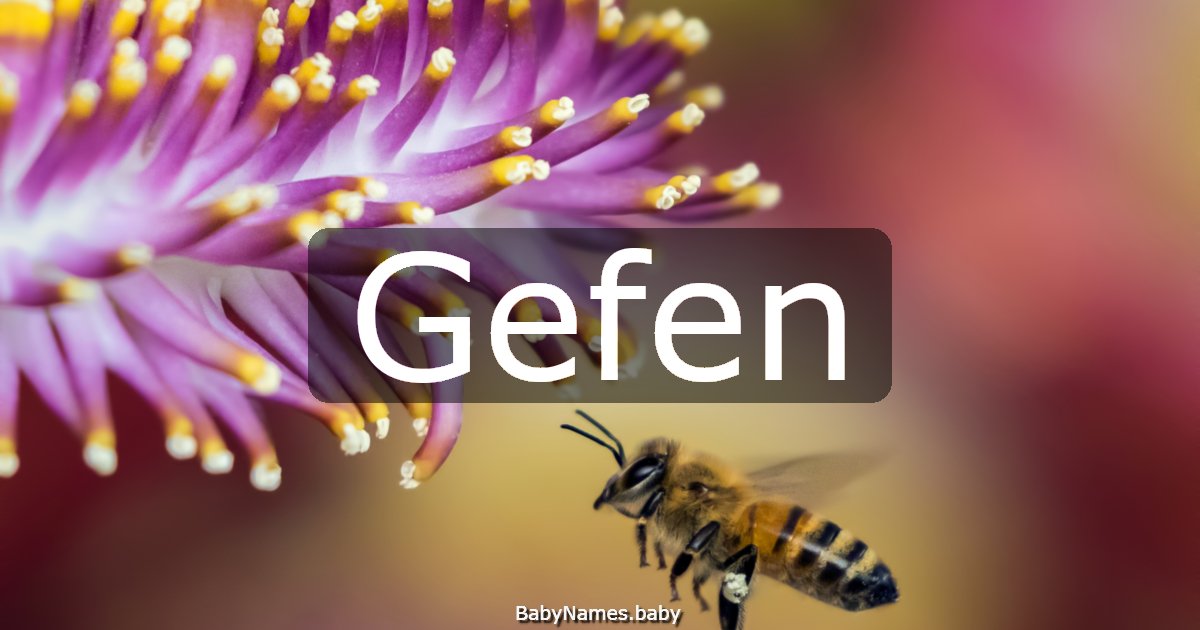 Gefen