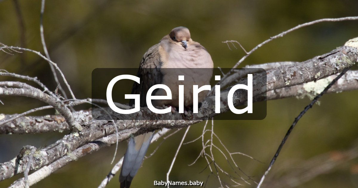 Geirid