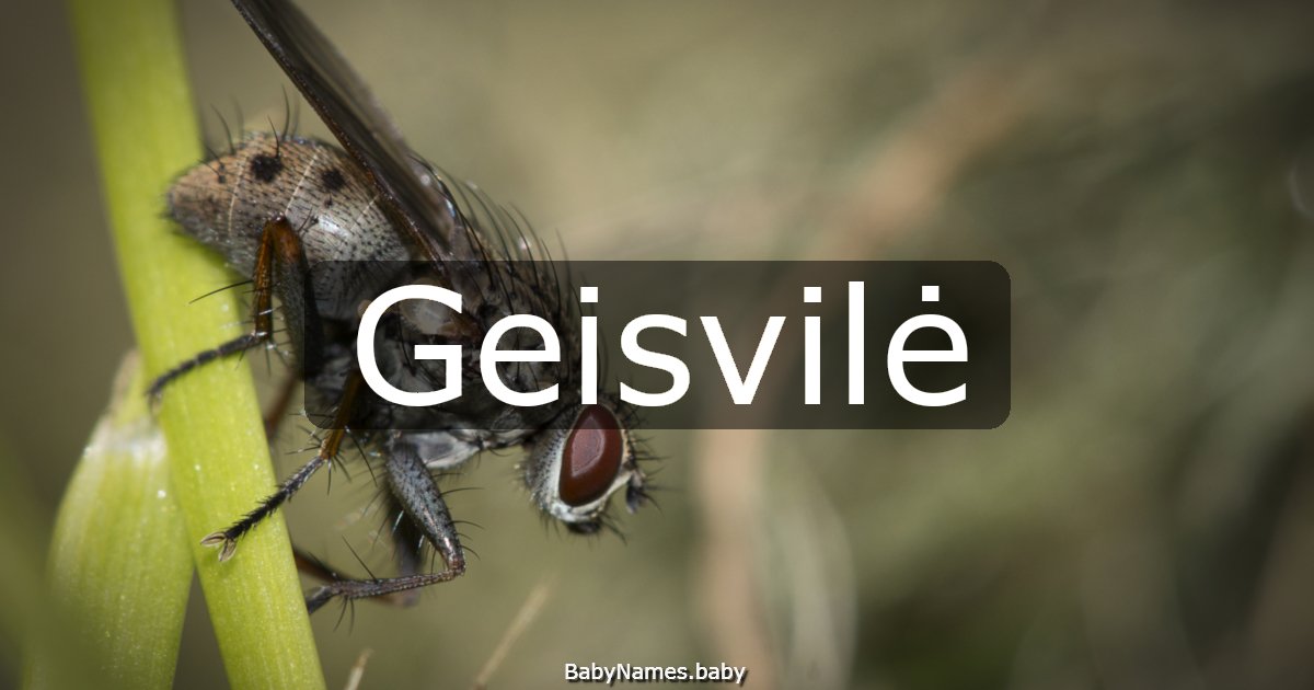 Geisvilė