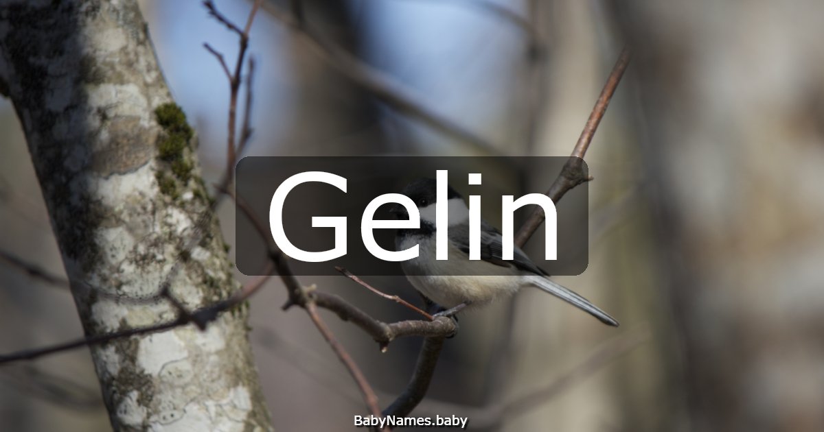 Gelin