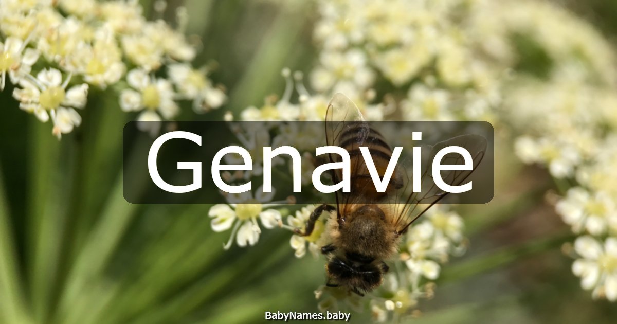 Genavie