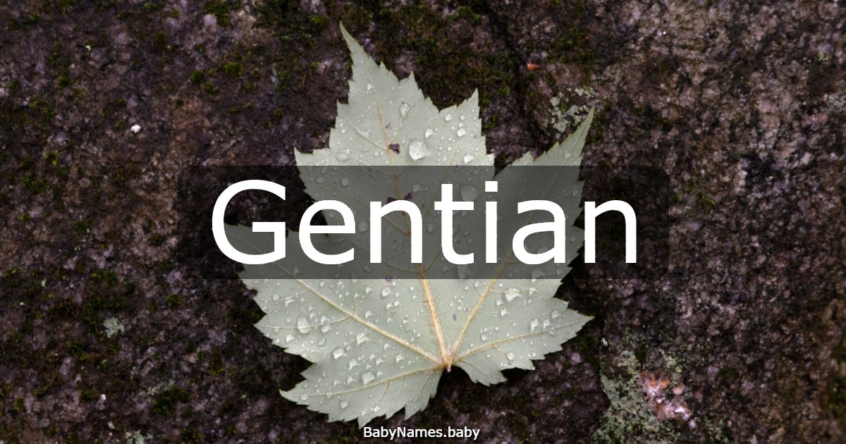 Gentian