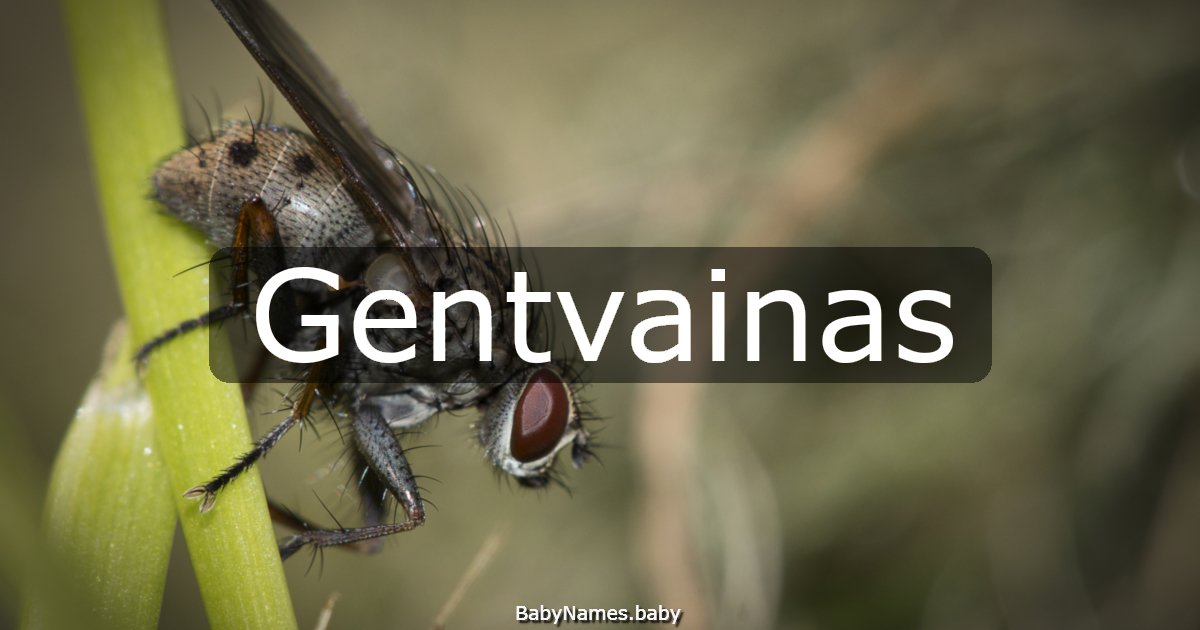 Gentvainas