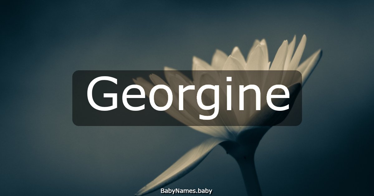 Georgine