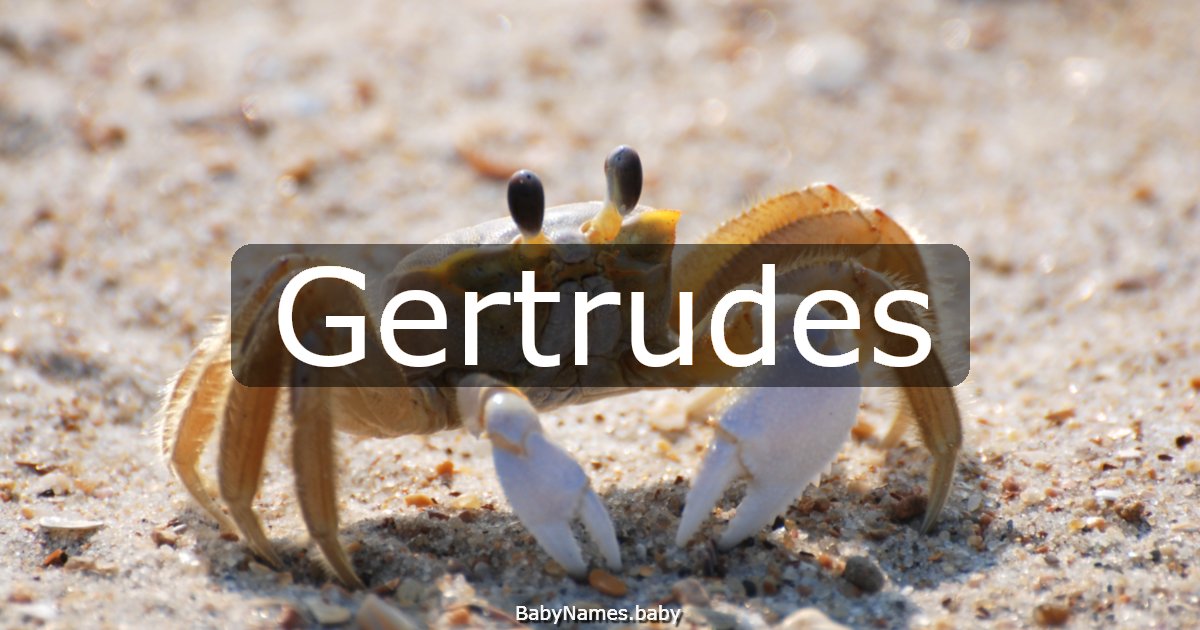 Gertrudes