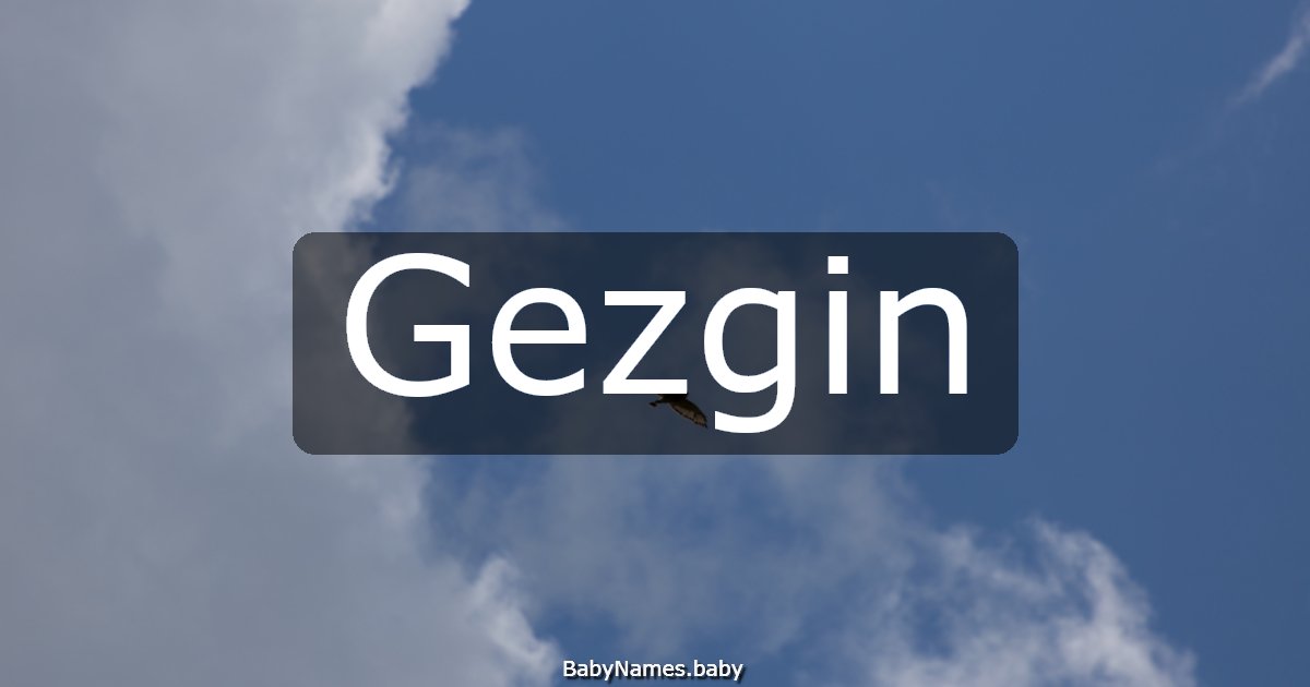 Gezgin