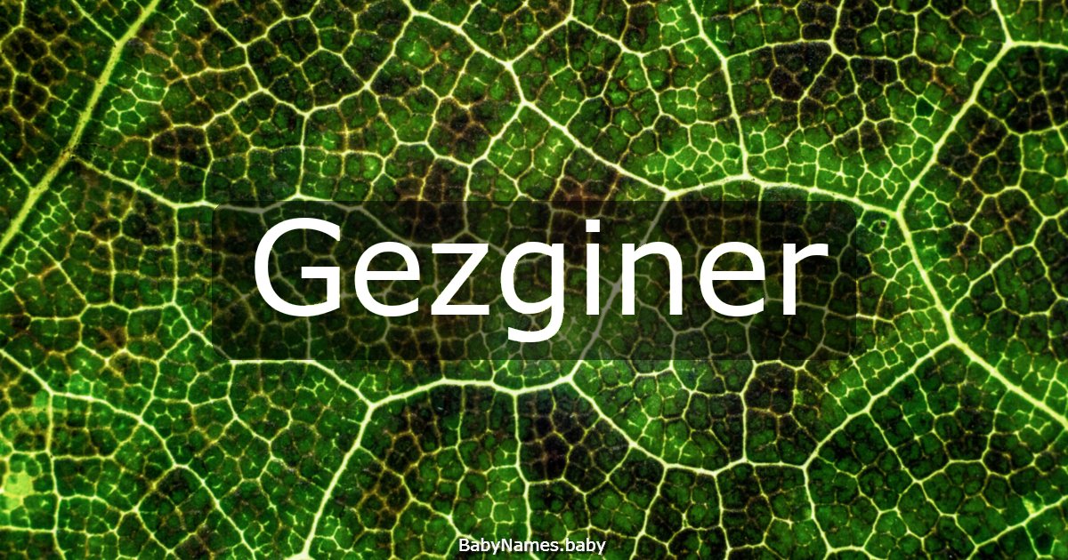 Gezginer