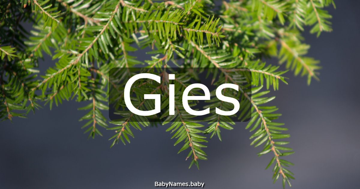 Gies