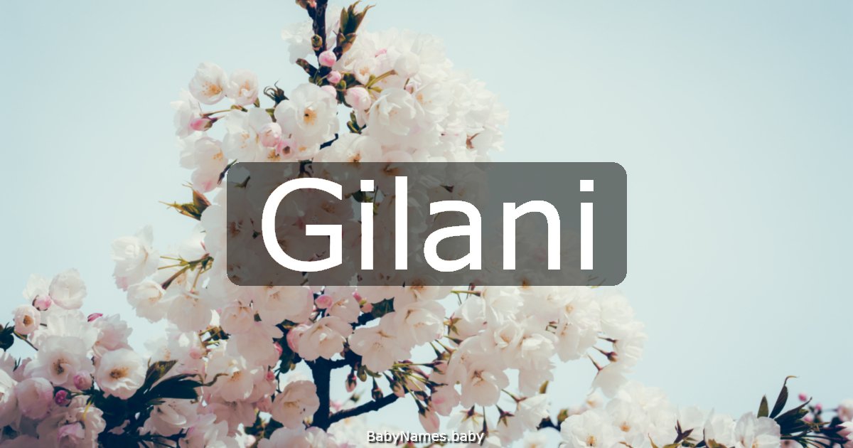 Gilani