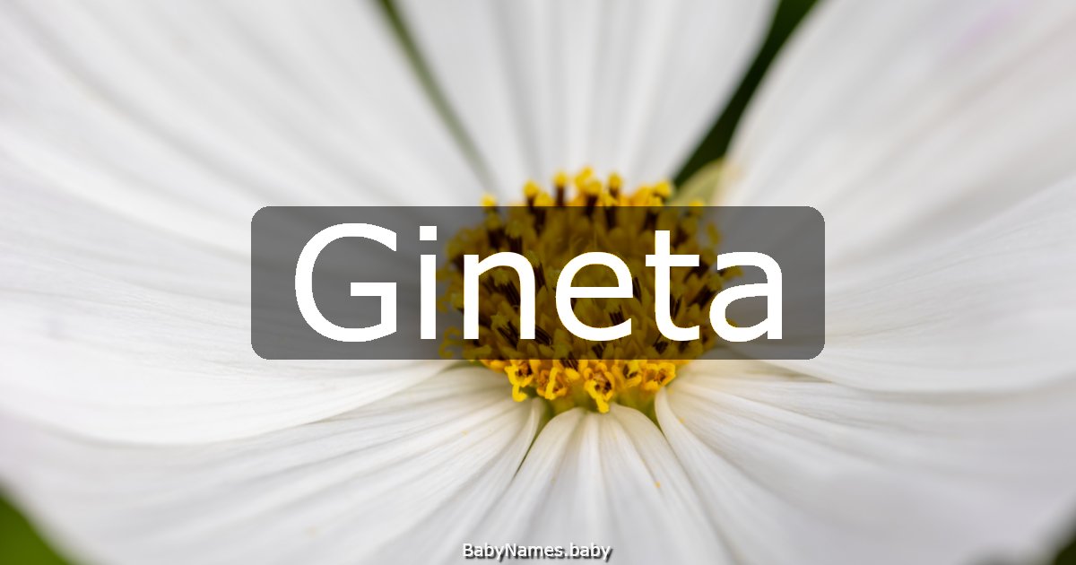 Gineta
