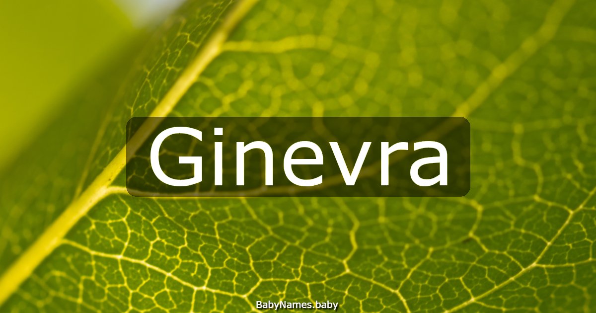 Ginevra