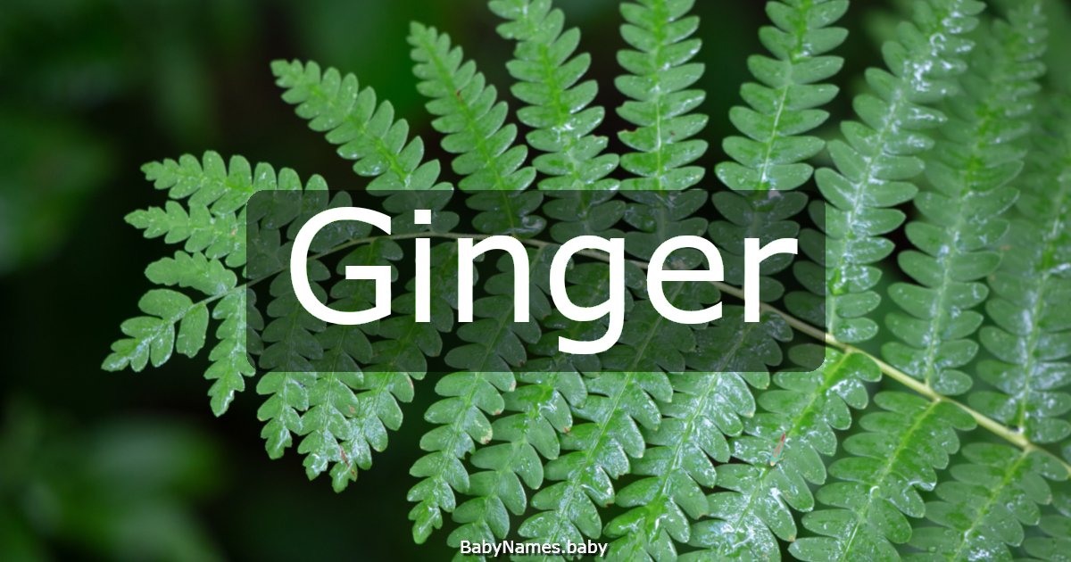 Ginger