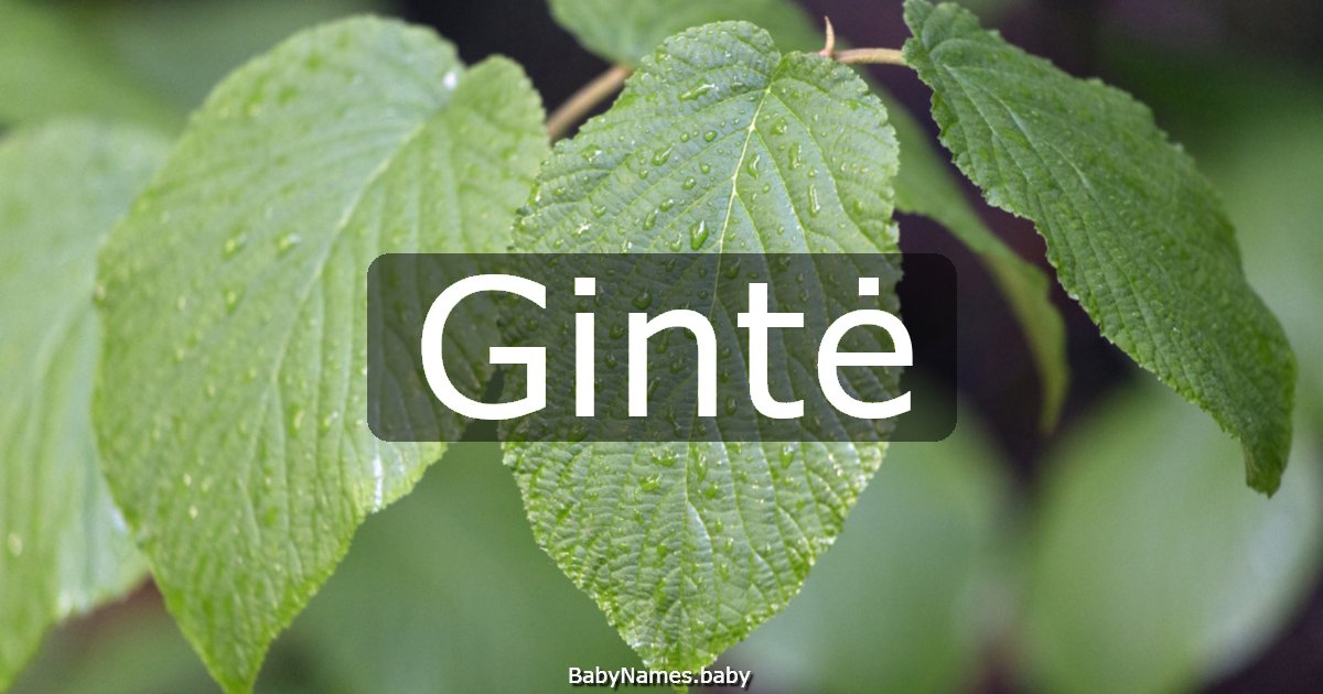 Gintė