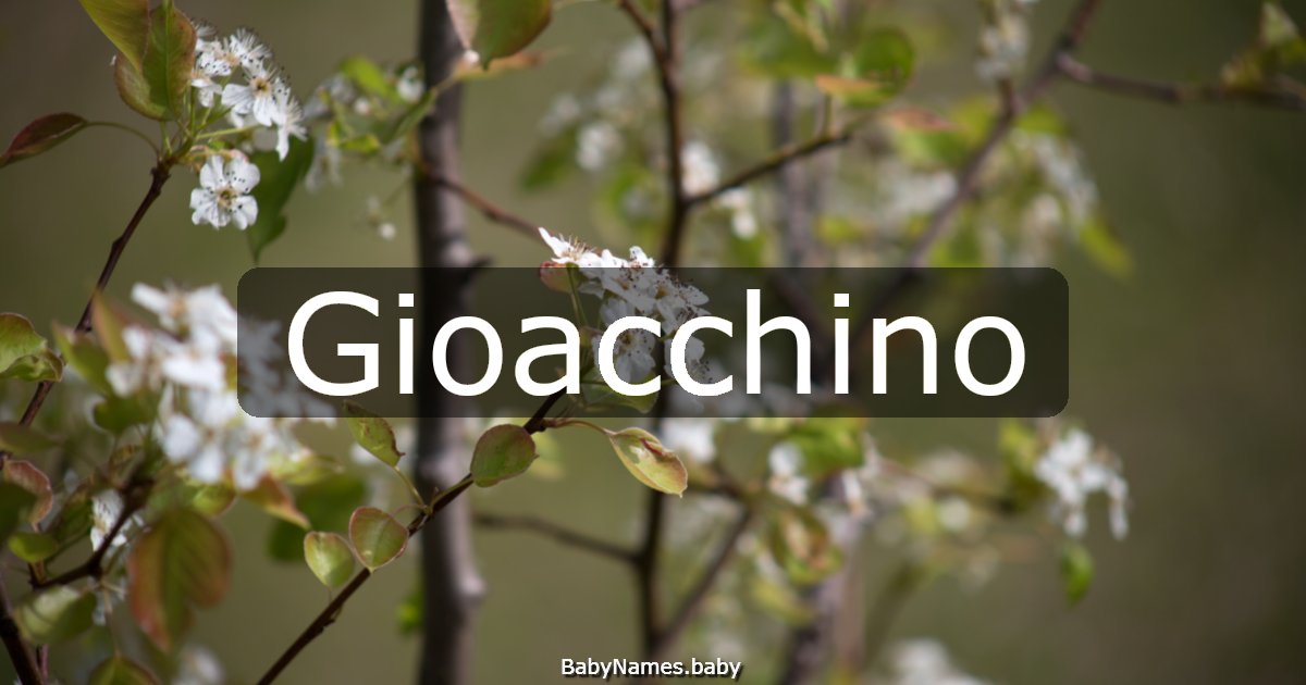 Gioacchino