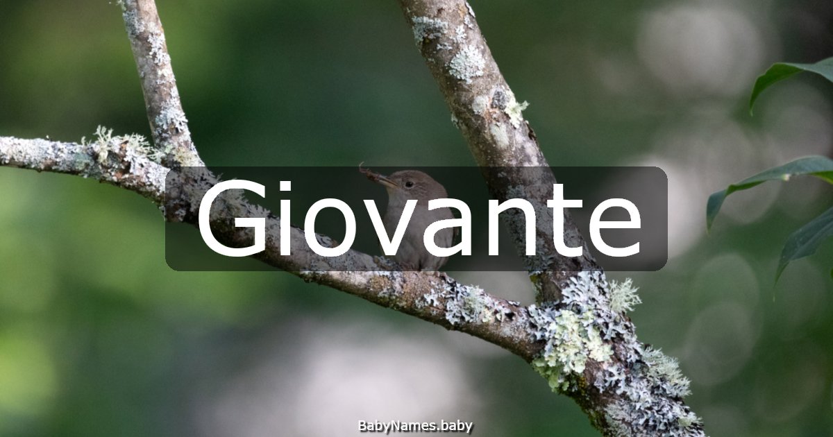 Giovante