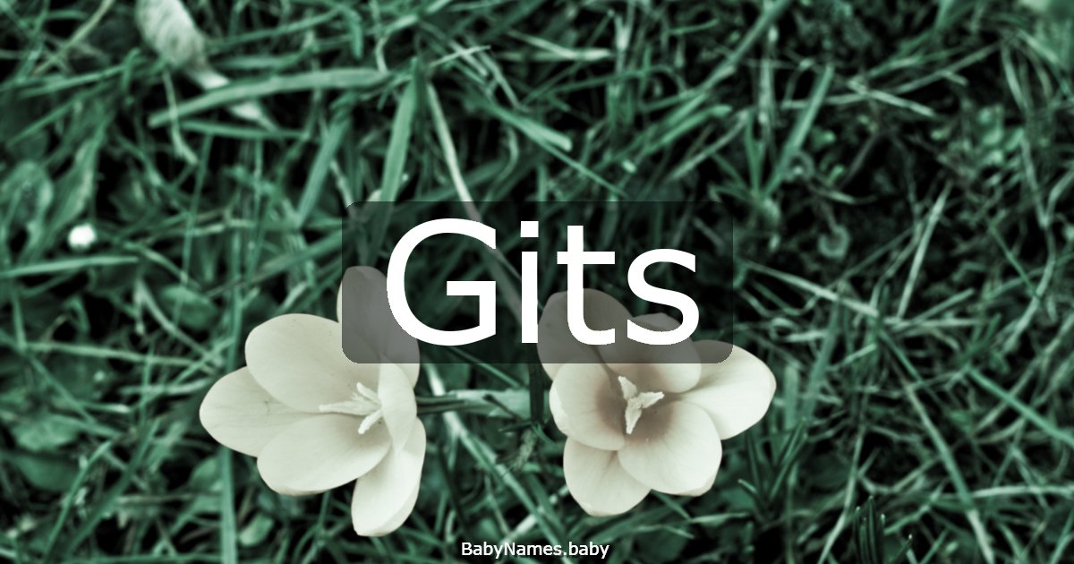 Gits