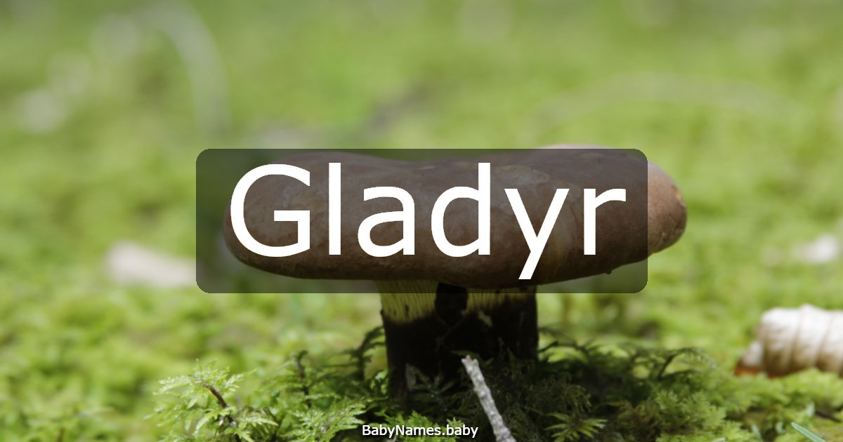 Gladyr