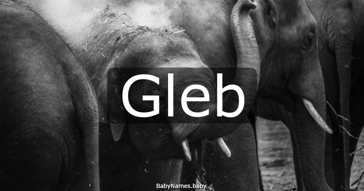 Gleb