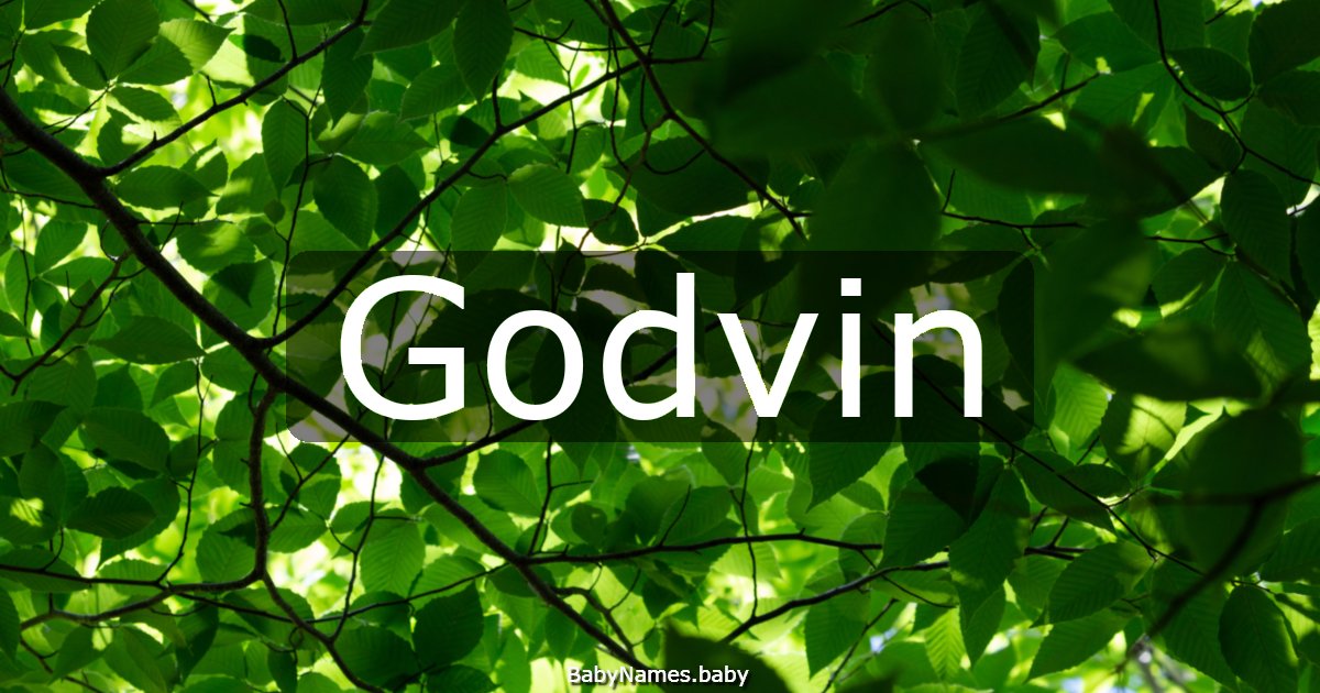 Godvin