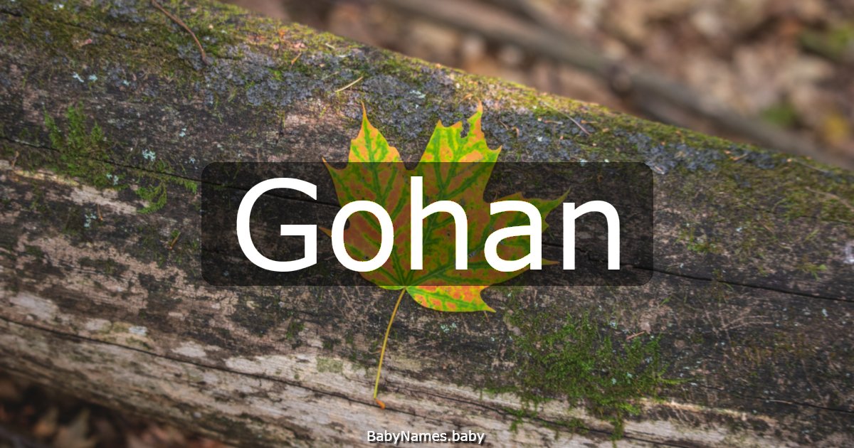 Gohan
