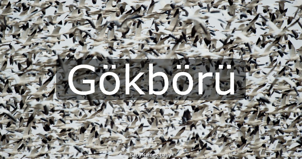 Gökbörü