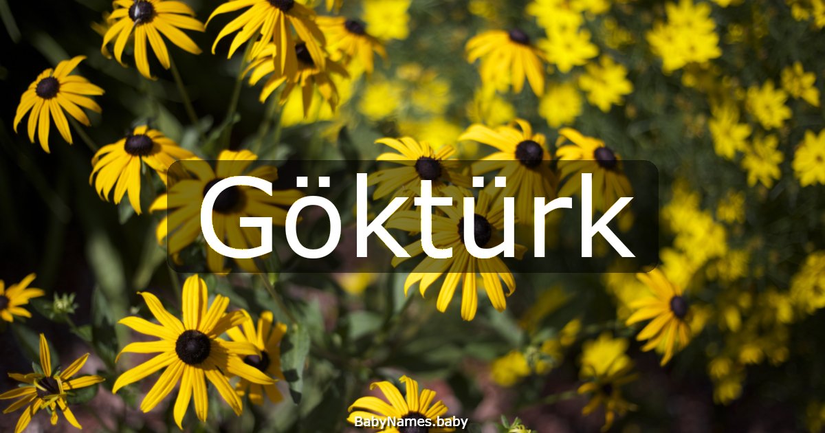 Göktürk