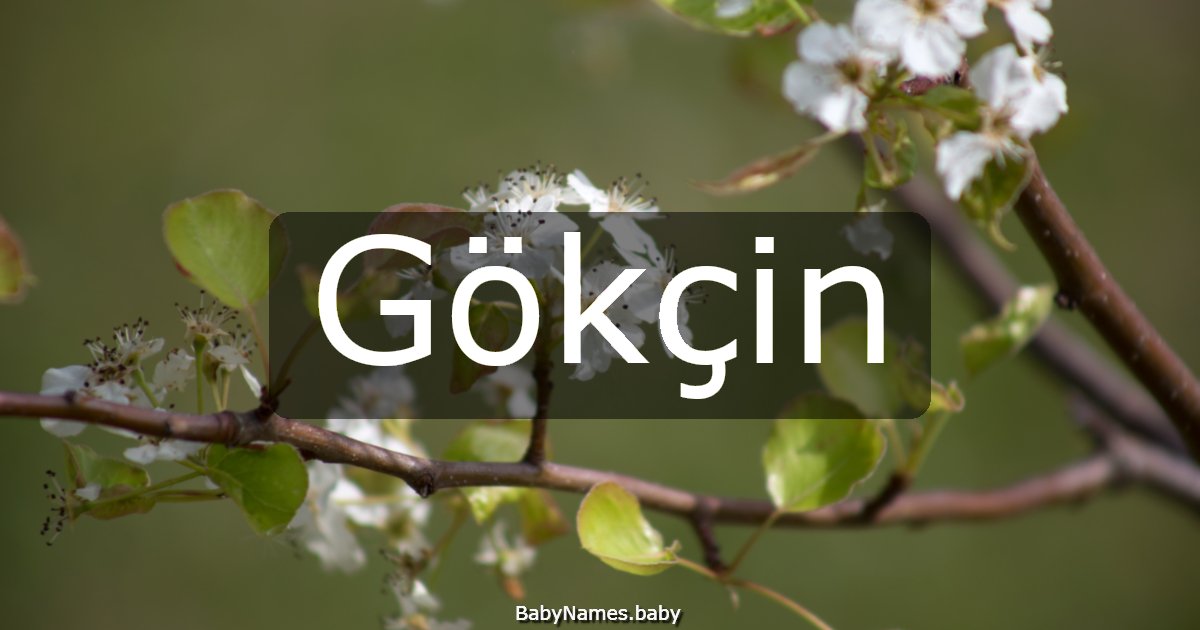 Gökçin