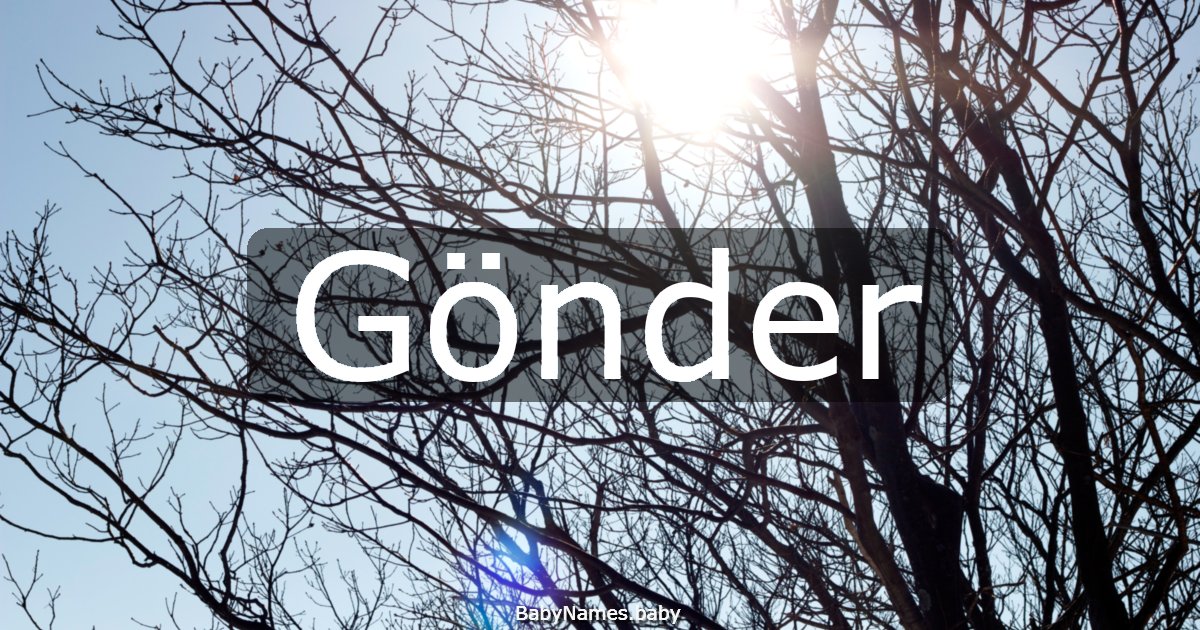 Gönder