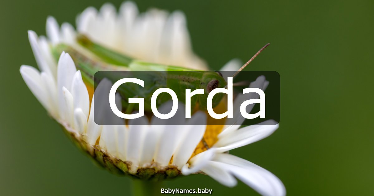 Gorda