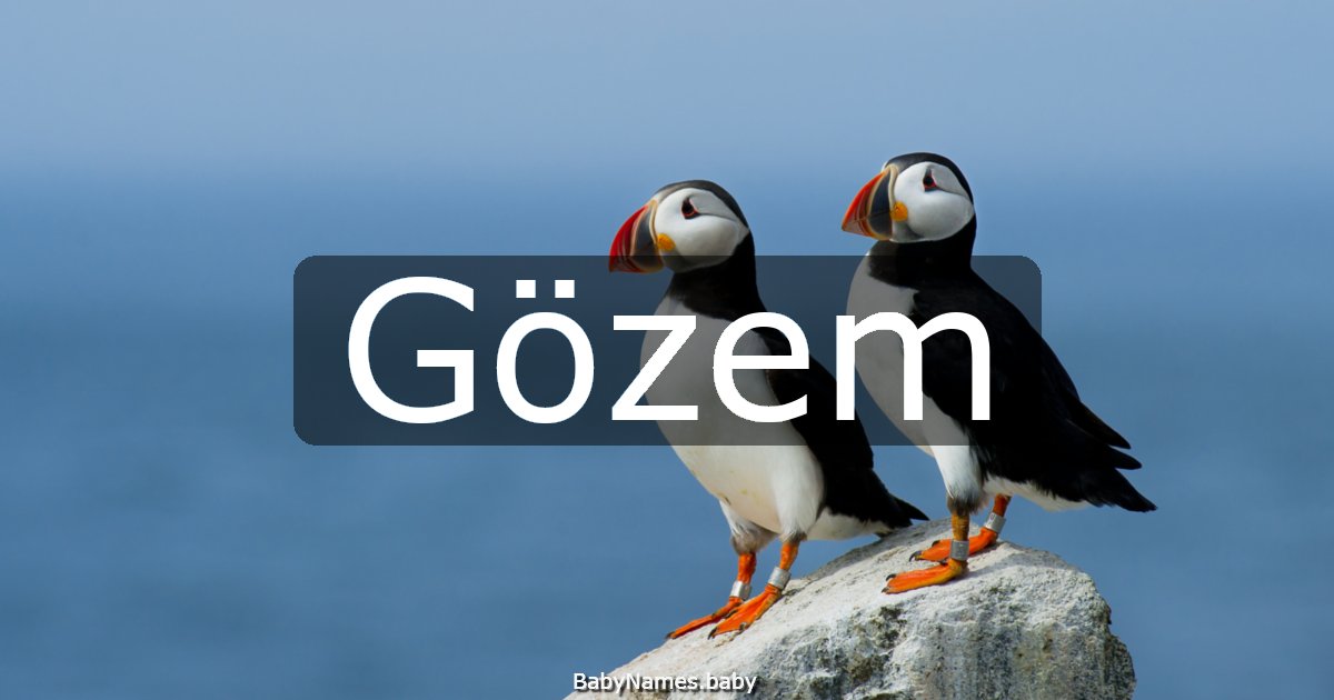 Gözem