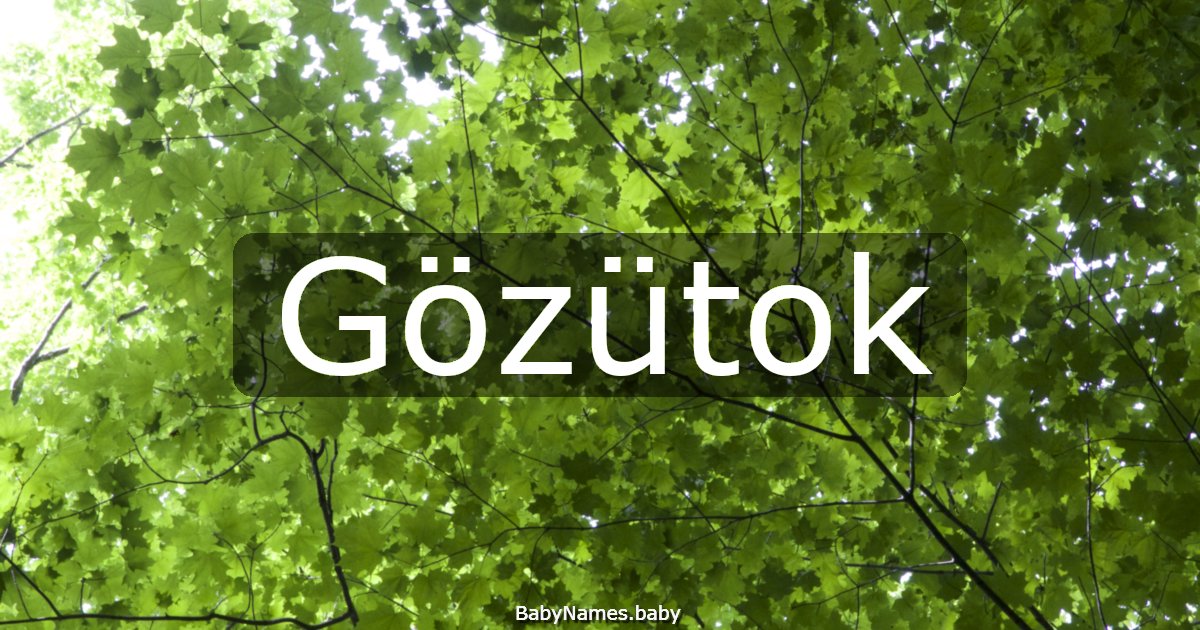 Gözütok
