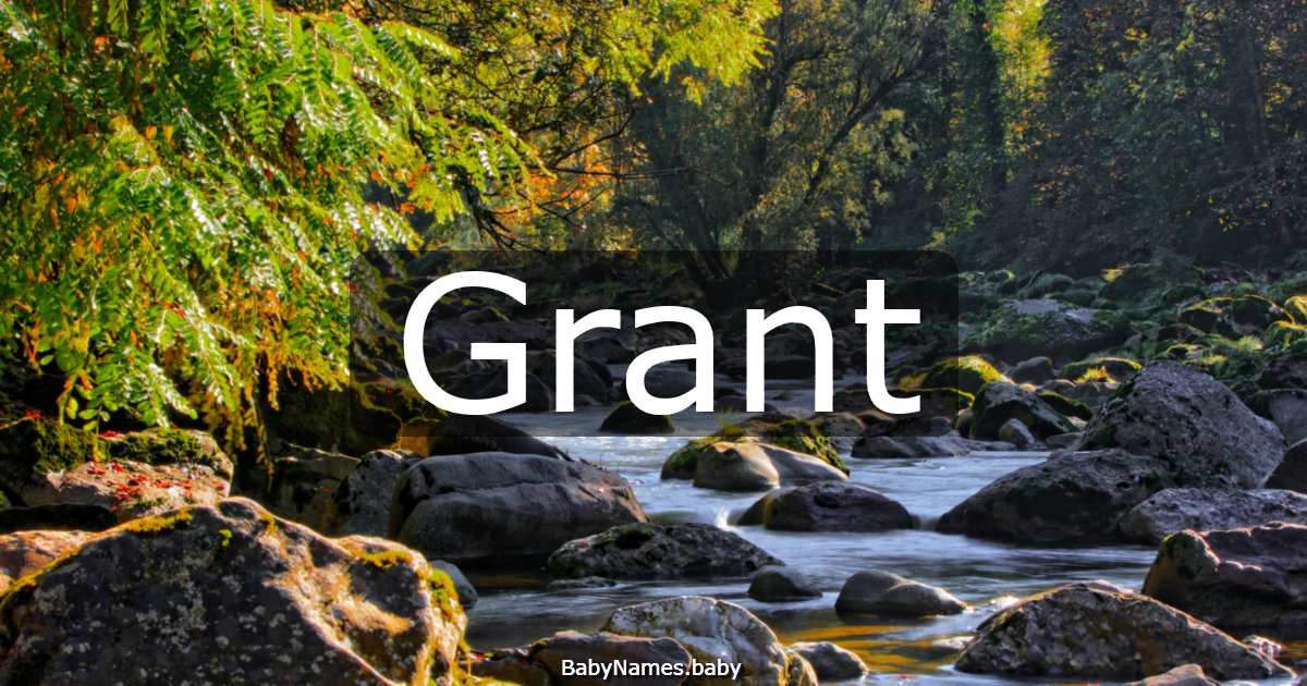 Grant