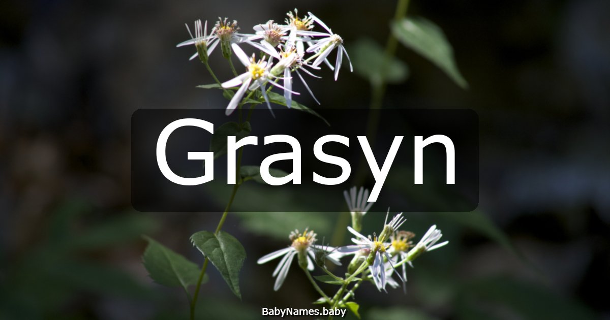 Grasyn