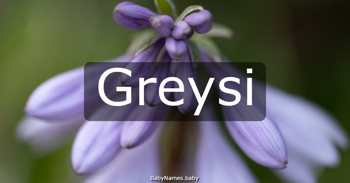 Greysi