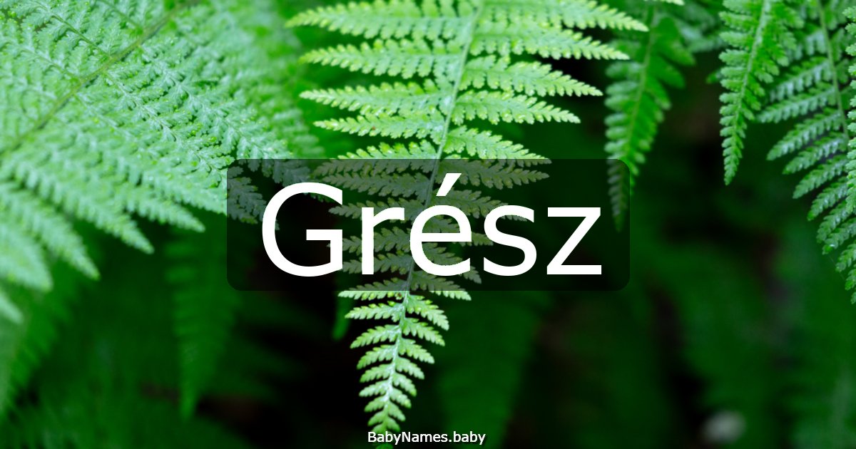 Grész