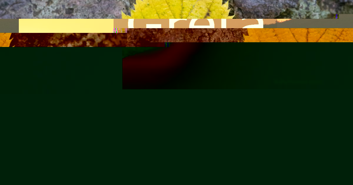 Gréta