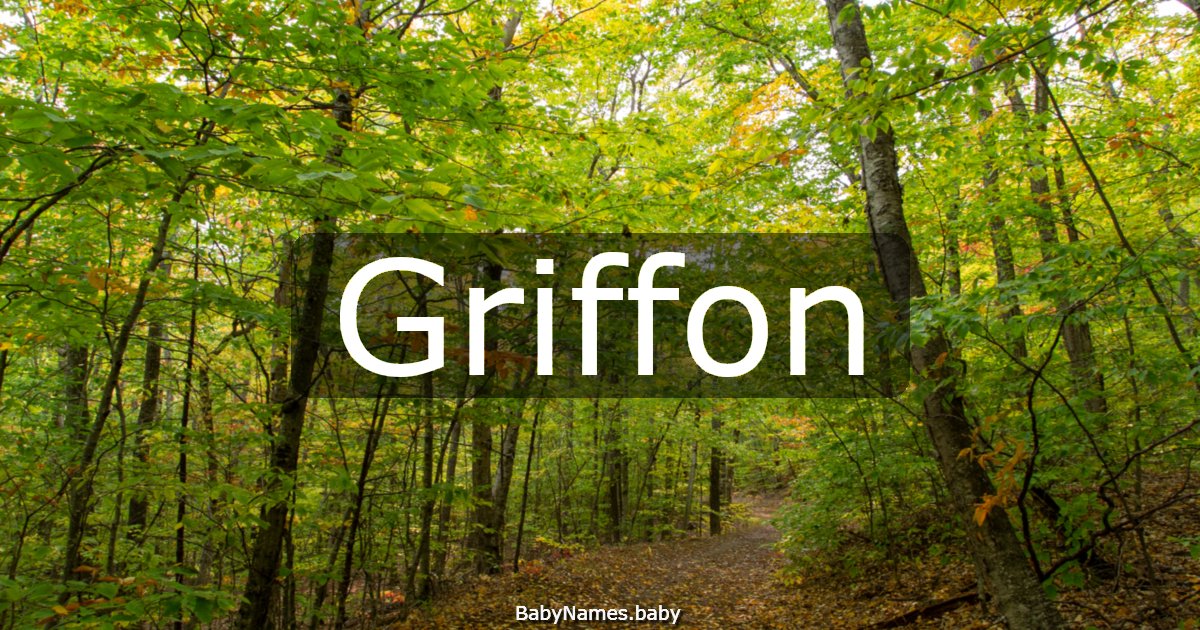 Griffon