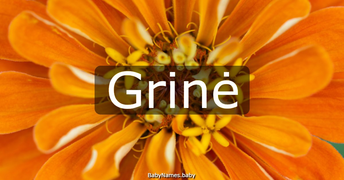Grinė